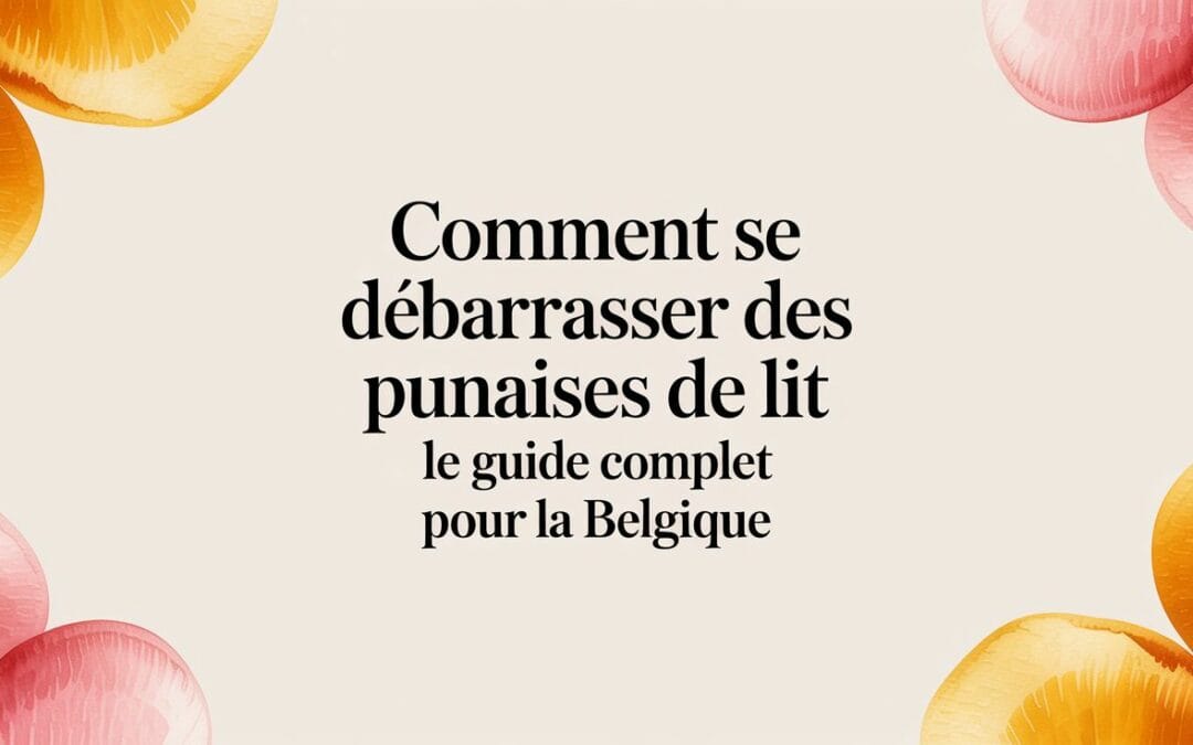 Comment se débarrasser des punaises de lit le guide complet pour la Belgique